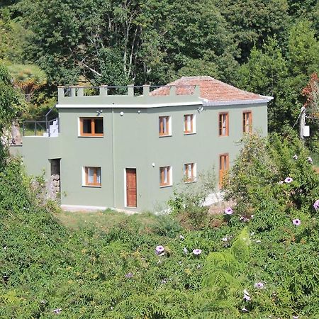 Affittacamere Casa Fita En El Cubo De La Galga Puntallana Esterno foto