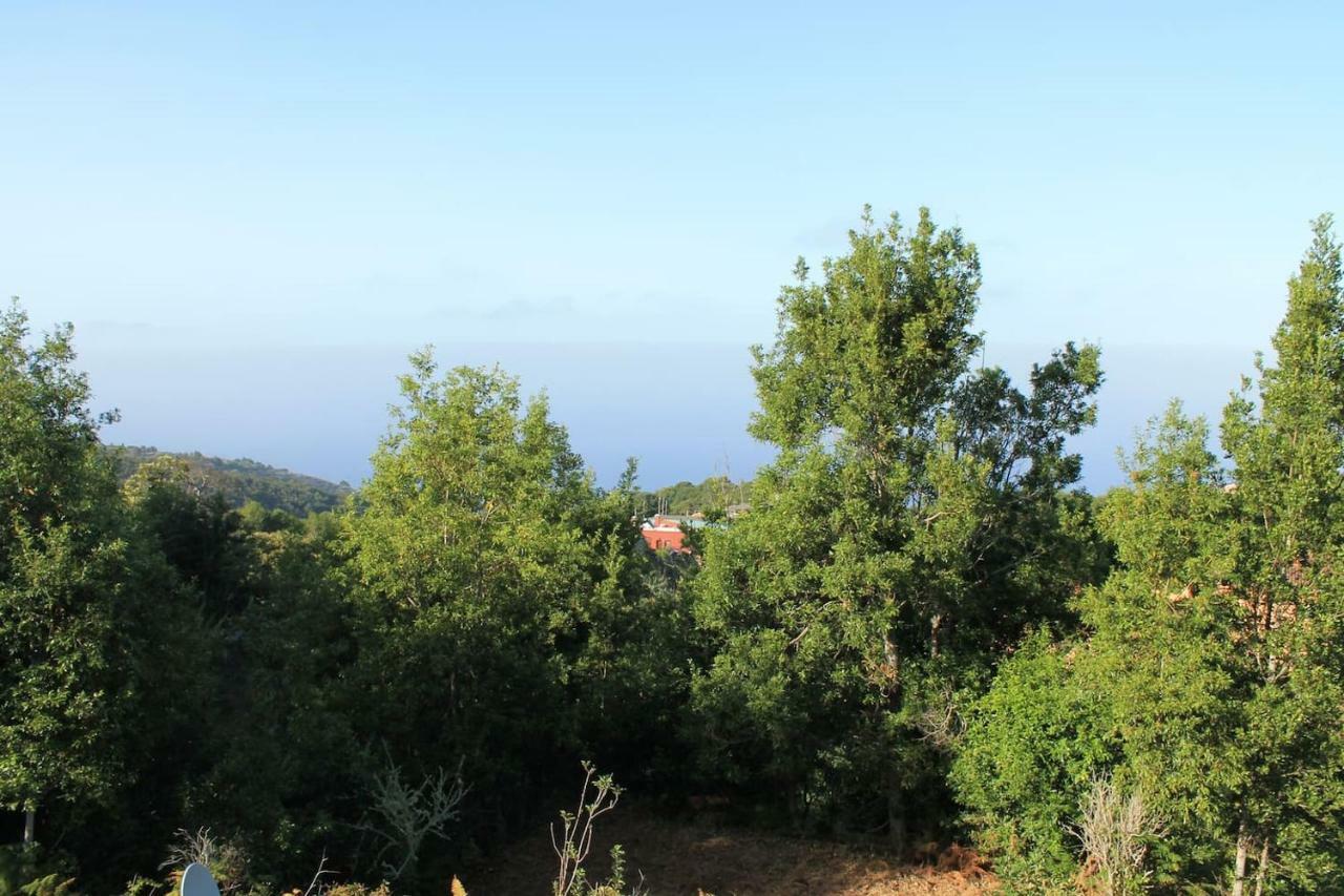 Affittacamere Casa Fita En El Cubo De La Galga Puntallana Esterno foto