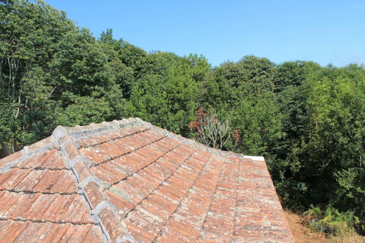 Affittacamere Casa Fita En El Cubo De La Galga Puntallana Esterno foto
